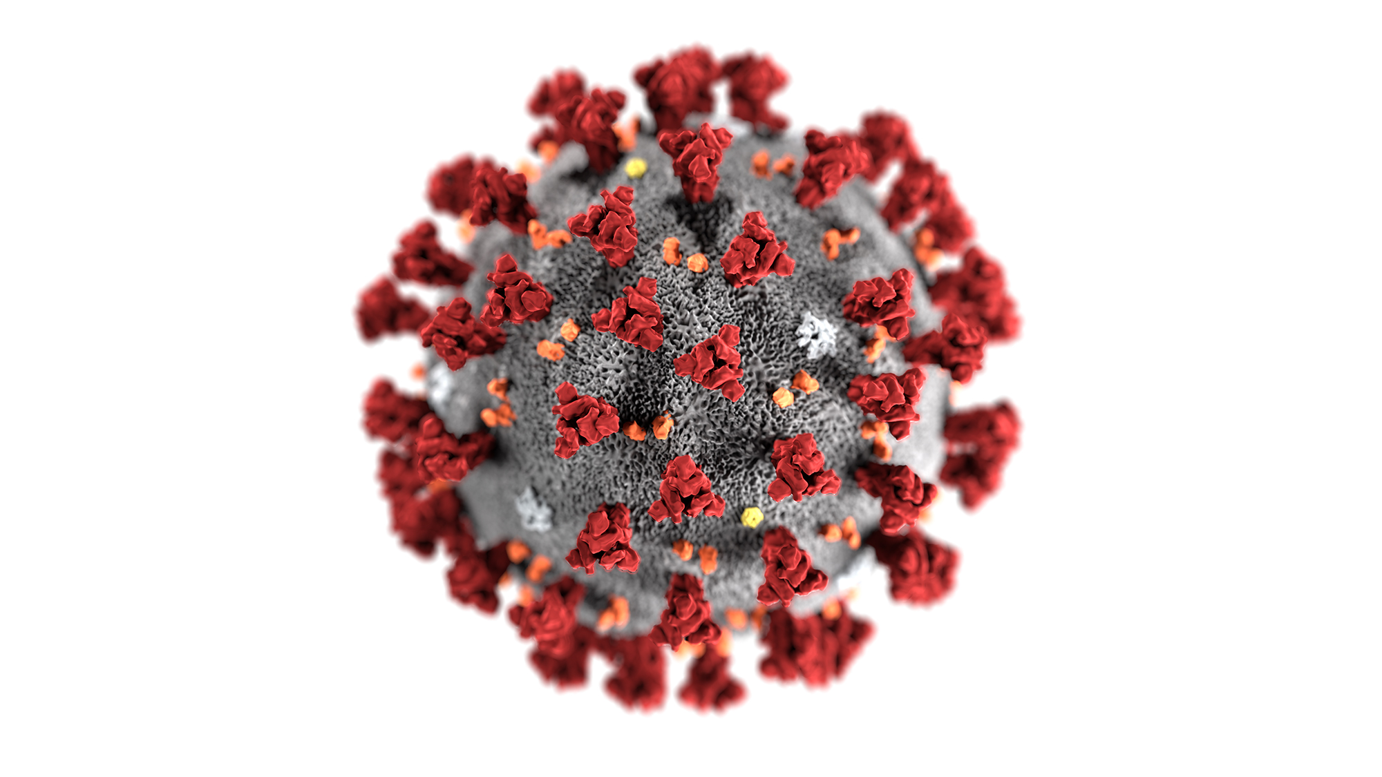 COVID-19 (Yeni Koronavirüs Hastalığı) 'na Yakalanmamak İçin Öneriler
